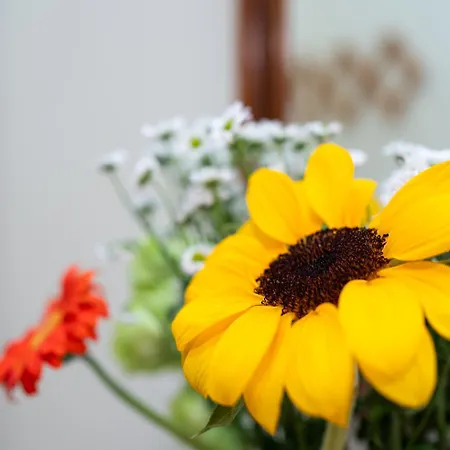 公寓 Sea Front Centre *