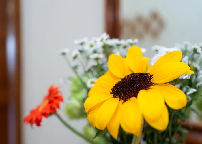 Apartment Sea Front Centre *